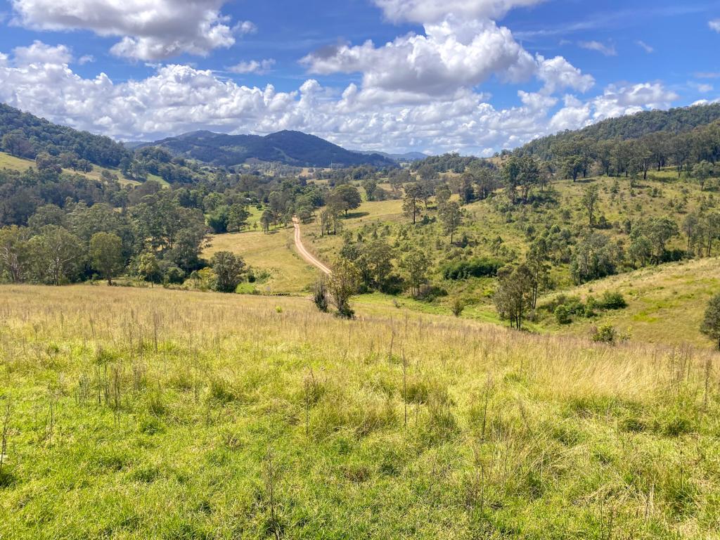 231 Little Run Rd, Wherrol Flat, NSW 2429