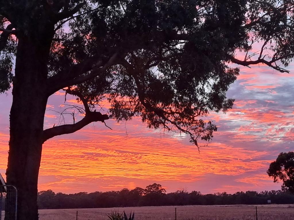 1060 Elmore-Raywood Rd, Elmore, VIC 3558