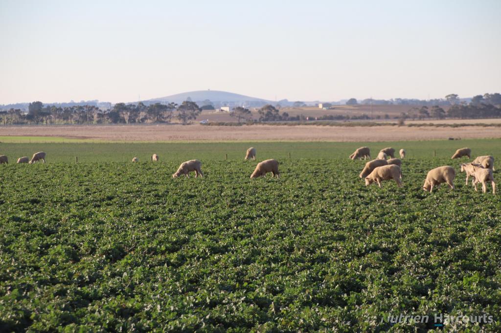 . Blind Creek Rd, Windermere, VIC 3352