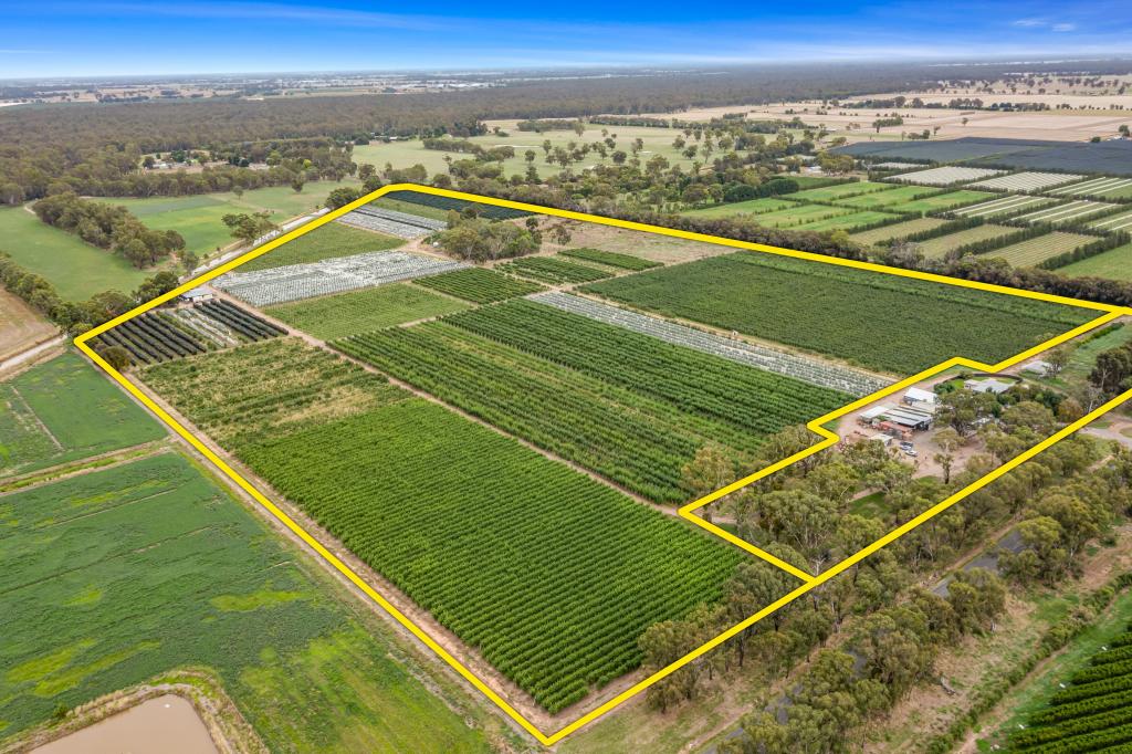 5160 Barmah-Shepparton Rd, Bunbartha, VIC 3634