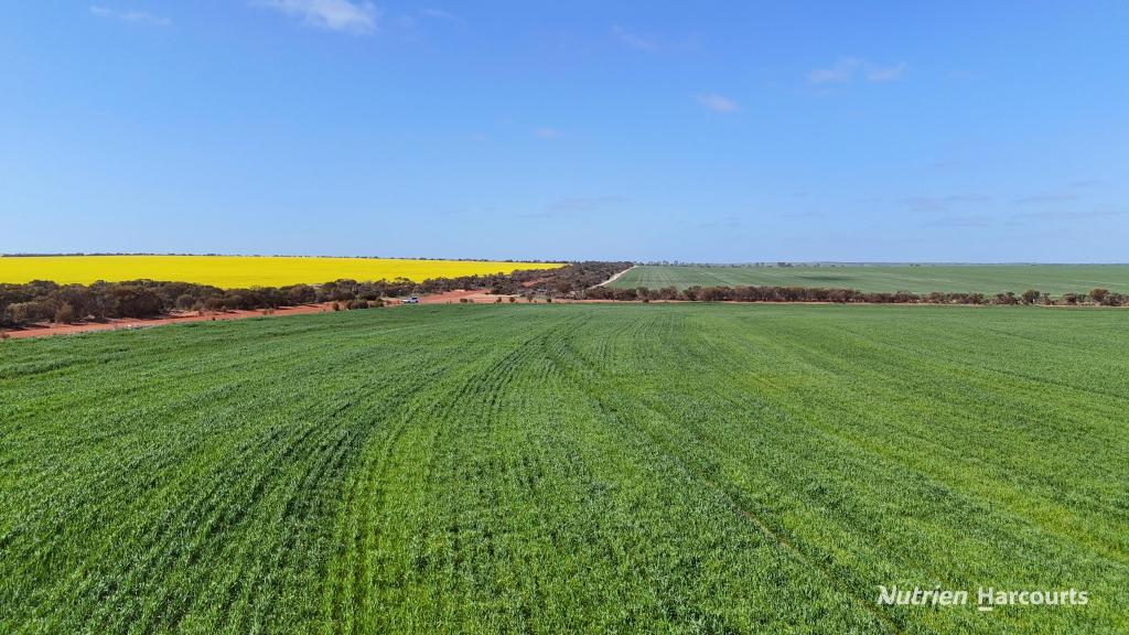2342 Emu Hill Rd E, South Kumminin, WA 6368