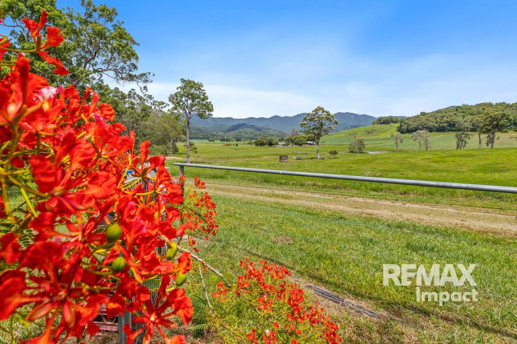 1937 Mossman-Mount Molloy Rd, Julatten, QLD 4871