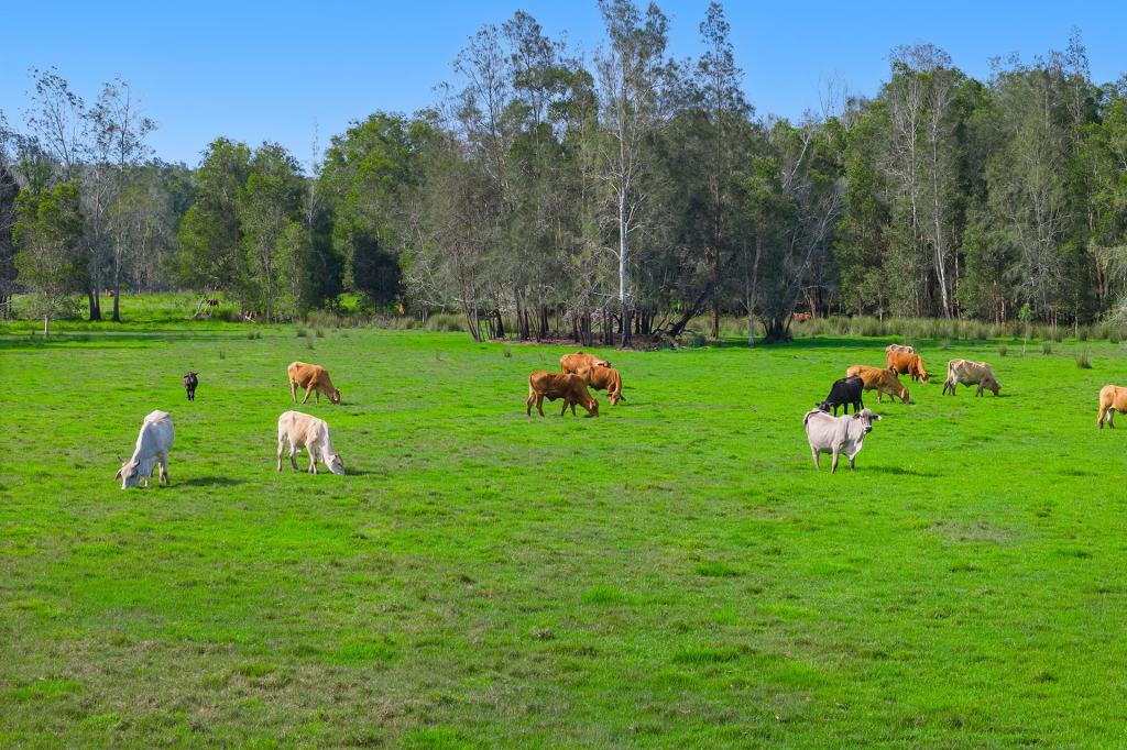 LOT 1/437 SEALE RD, BELMORE RIVER, NSW 2440