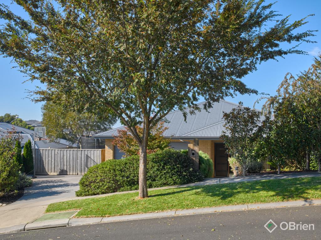6 Bluestone Ct, Warragul, VIC 3820