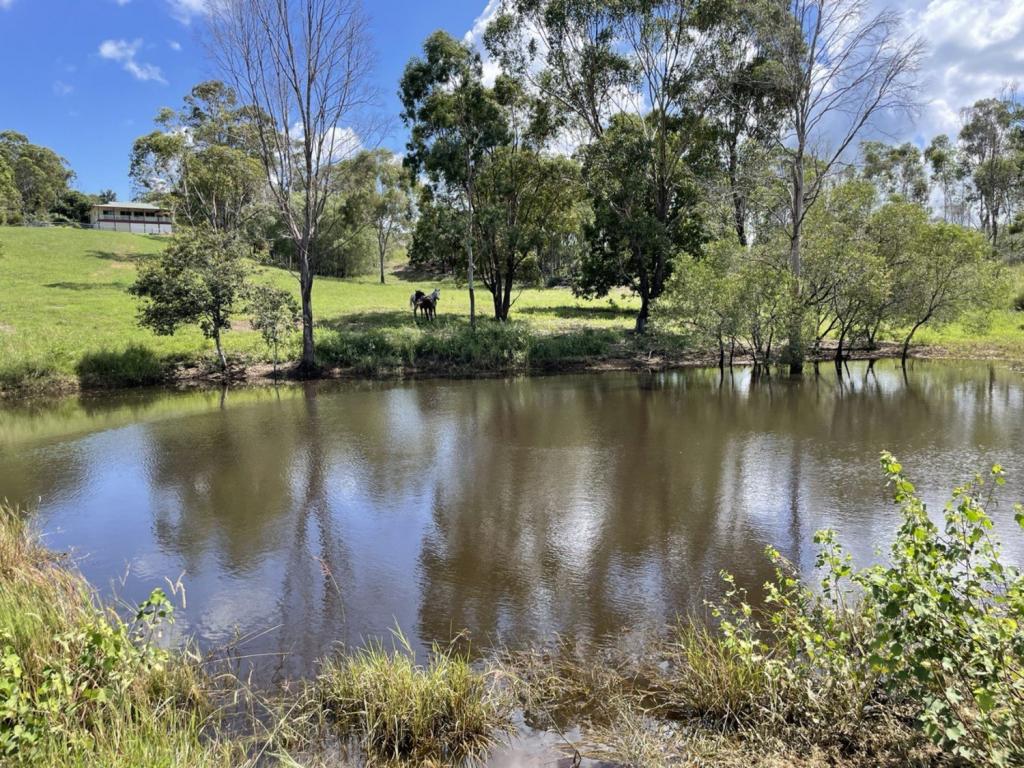 235 Coorooman Creek Rd, Cawarral, QLD 4702