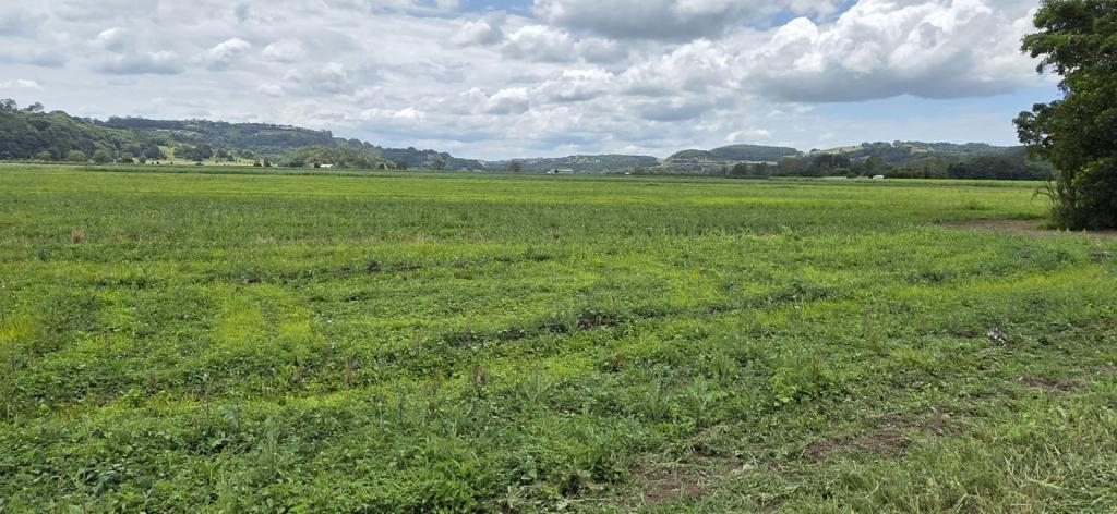 423 Teven Rd, Teven, NSW 2478