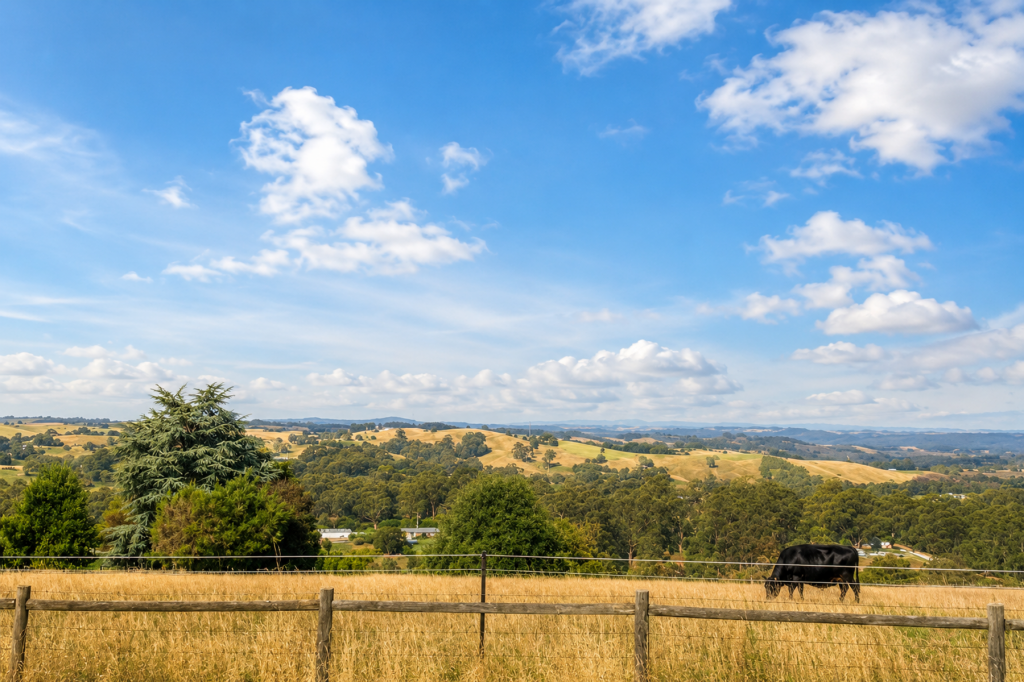 38 Inches Rd, Korumburra, VIC 3950
