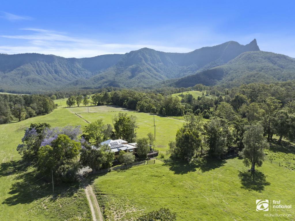 252 Back Creek Rd, Back Creek, NSW 2484