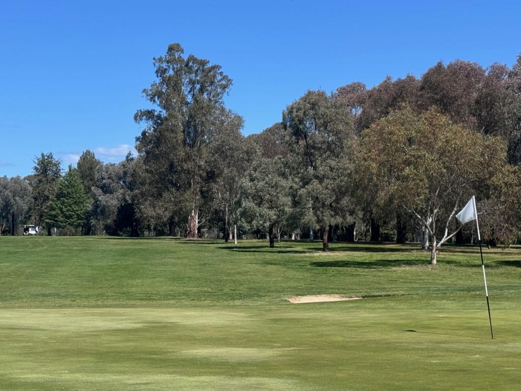 7 Elvins St, Mansfield, VIC 3722