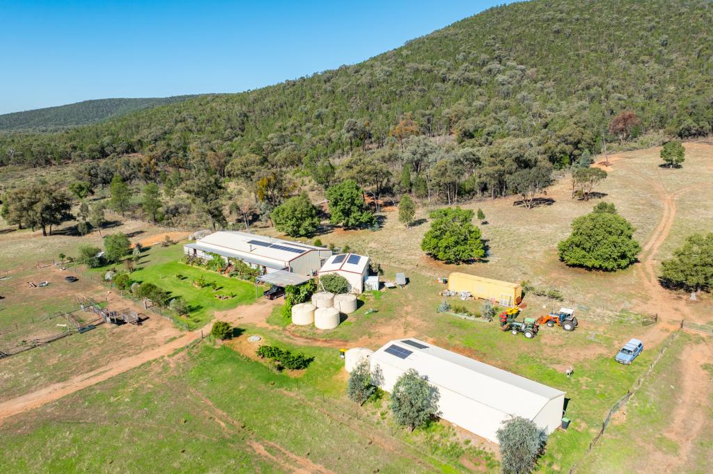 1235 Kangarooby Rd, Gooloogong, NSW 2805
