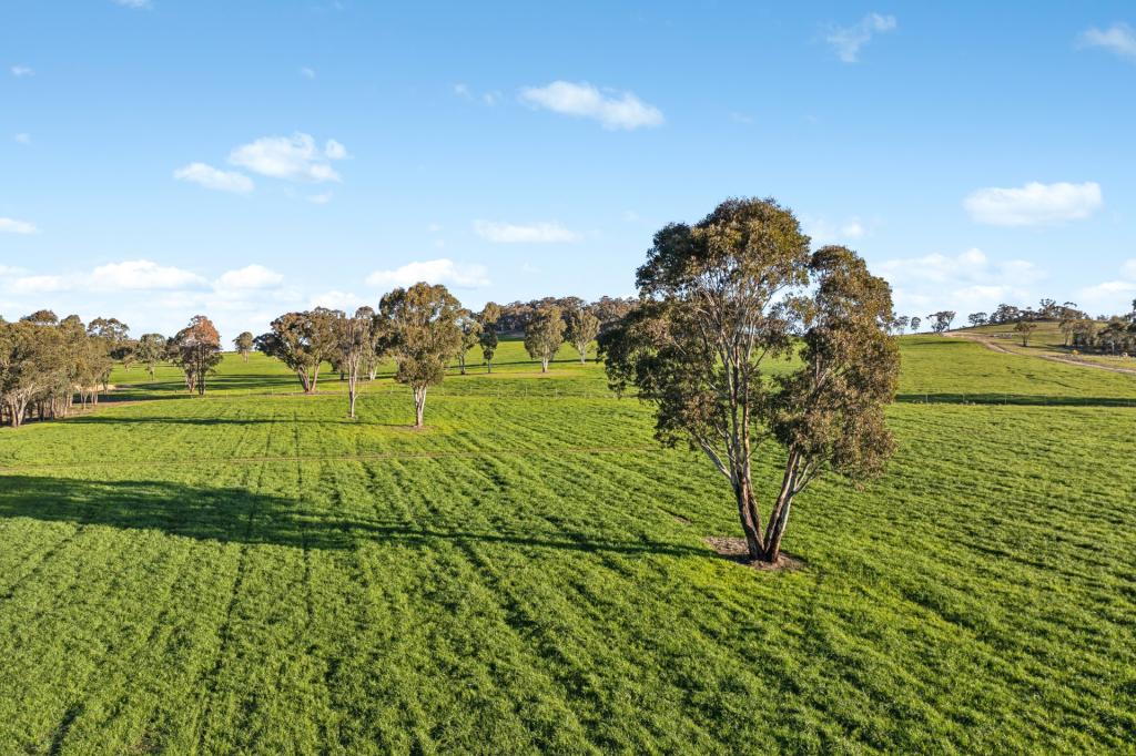 318 Belgravia Rd, Mullion Creek, NSW 2800