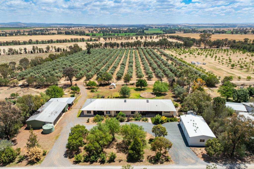 20/444 Rivers Rd, Canowindra, NSW 2804