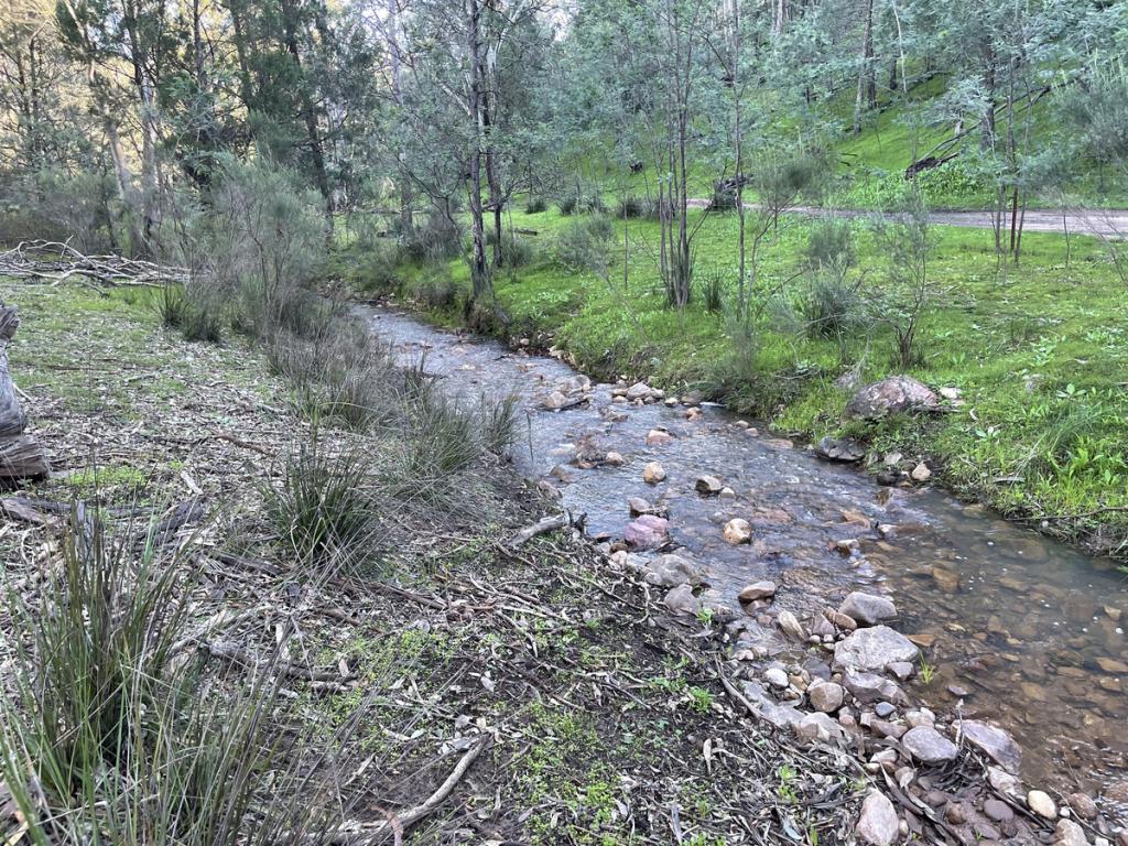 1657 Kangarooby Rd, Gooloogong, NSW 2805