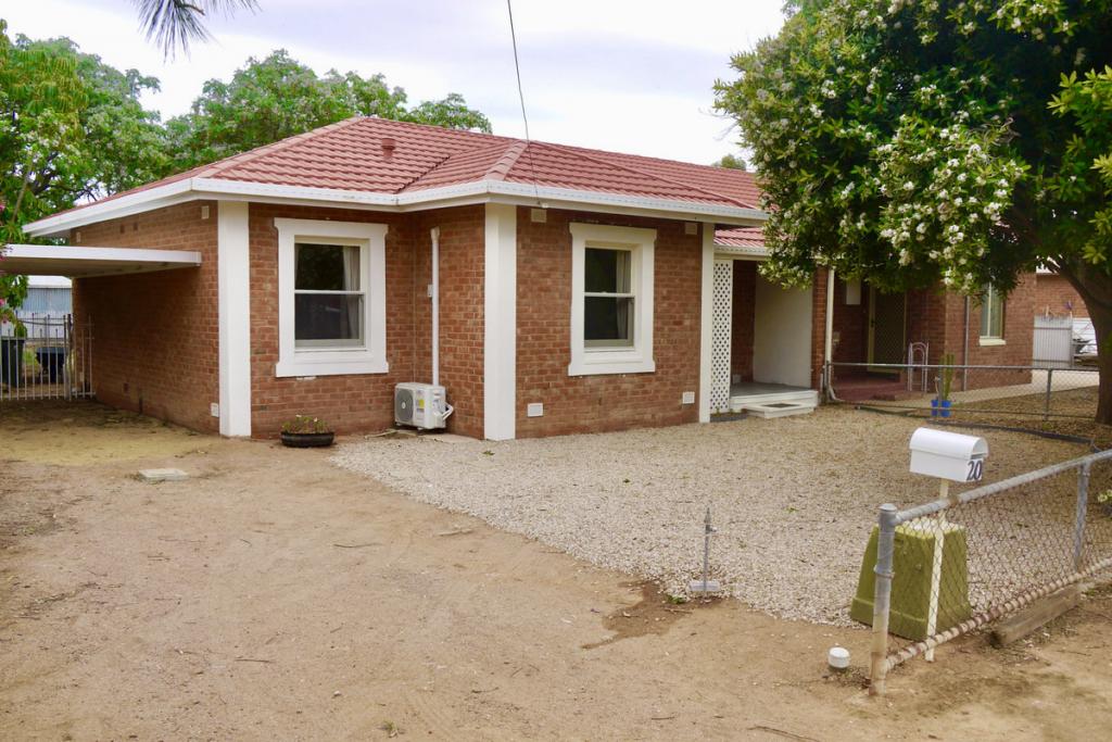 20 Hutchinson St, Risdon Park South, SA 5540