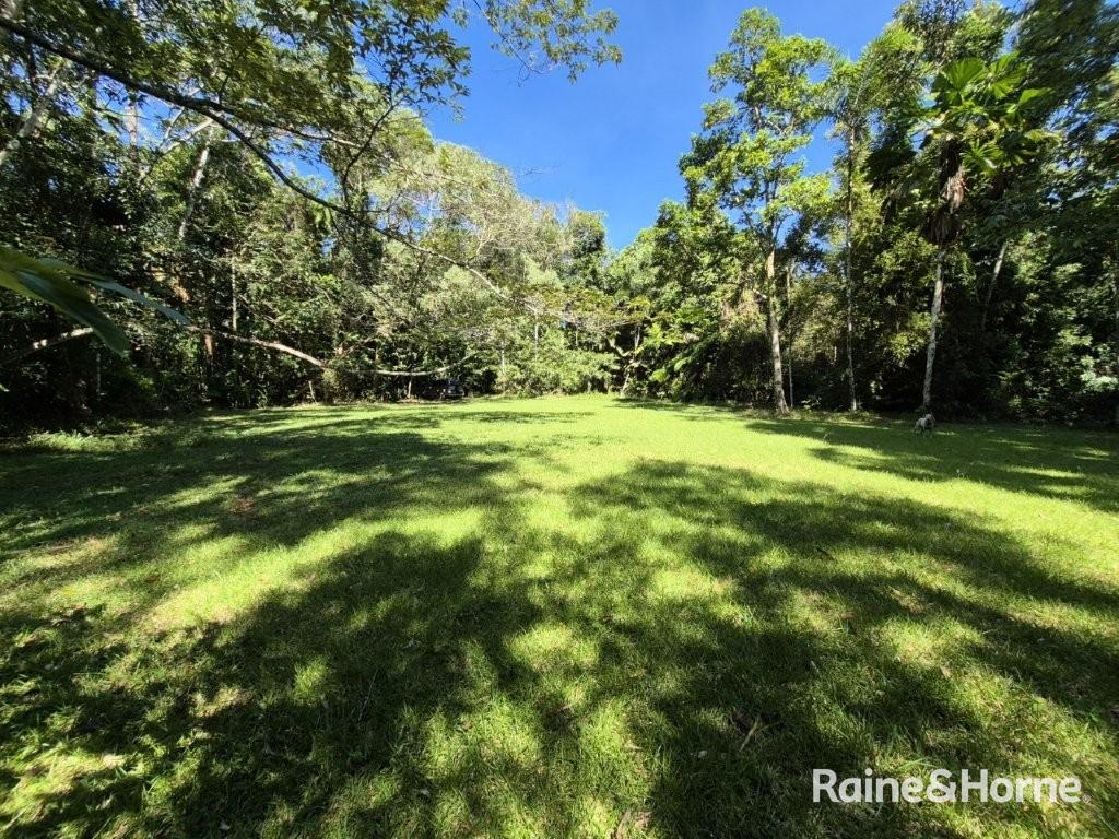 Lot 322 Cape Tribulation Rd, Cow Bay, QLD 4873