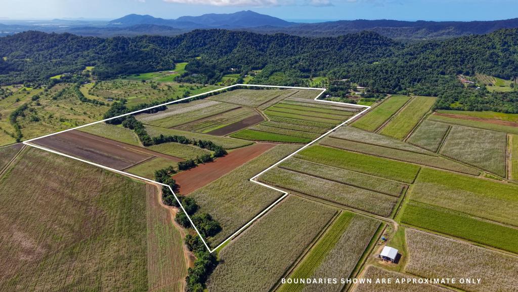 Lot 4 East Feluga Rd, East Feluga, QLD 4854