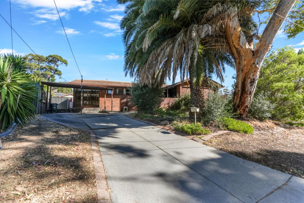 3 Leyte Dr, Surrey Downs, SA 5126