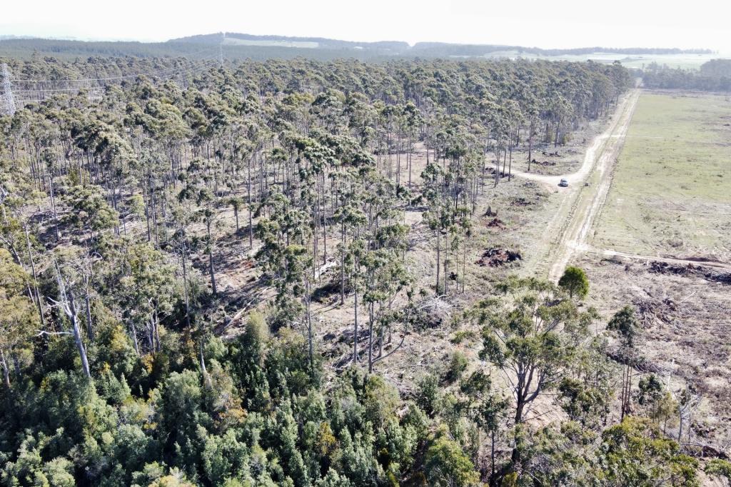 Lot 2/275 Smith And Others Rd, Sassafras, TAS 7307