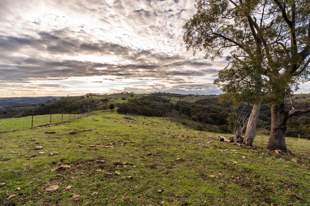1316 Bundalah Rd, Euchareena, NSW 2866