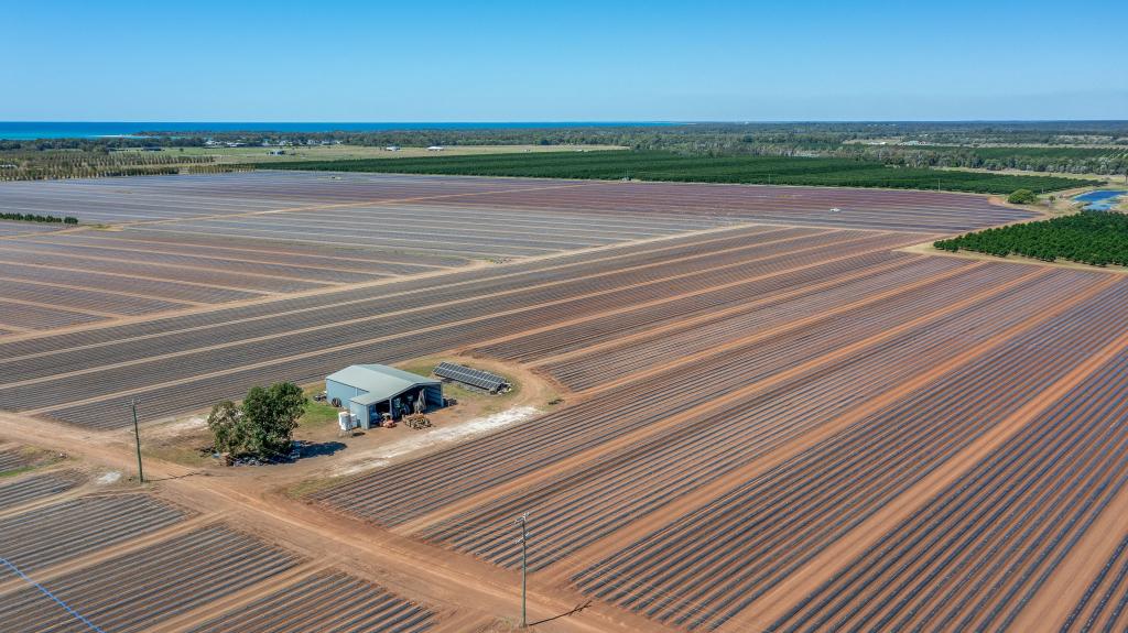 190 & 140 Riverview Rd, Calavos, QLD 4670