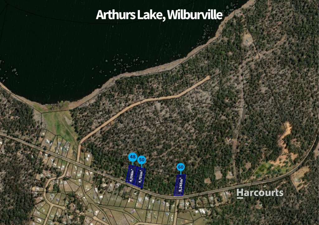 50 Arthurs Lake Rd, Wilburville, TAS 7030