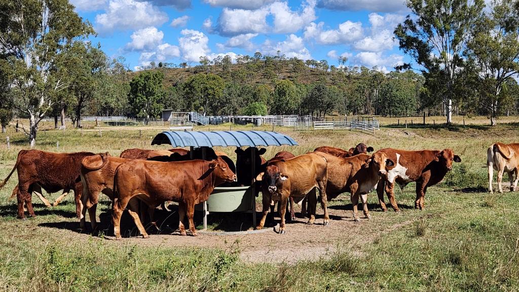 789 Coppin Rd, Mungungo, QLD 4630