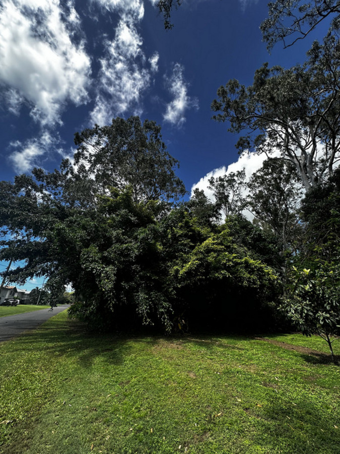 36 Prince Charles Ave, Seaforth, QLD 4741