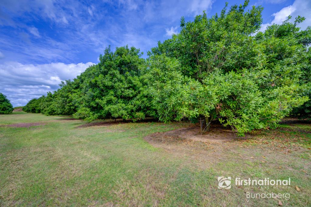 826 Moore Park Rd, Welcome Creek, QLD 4670