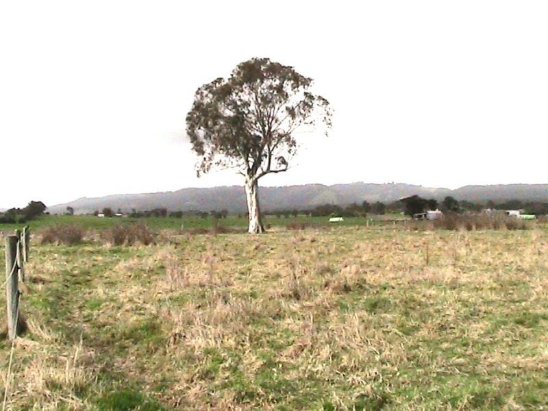 Lot 2 Jumbuk Rd, Yinnar, VIC 3869