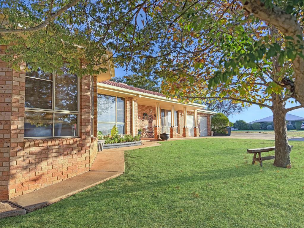 64 Back Creek Rd, Young, NSW 2594