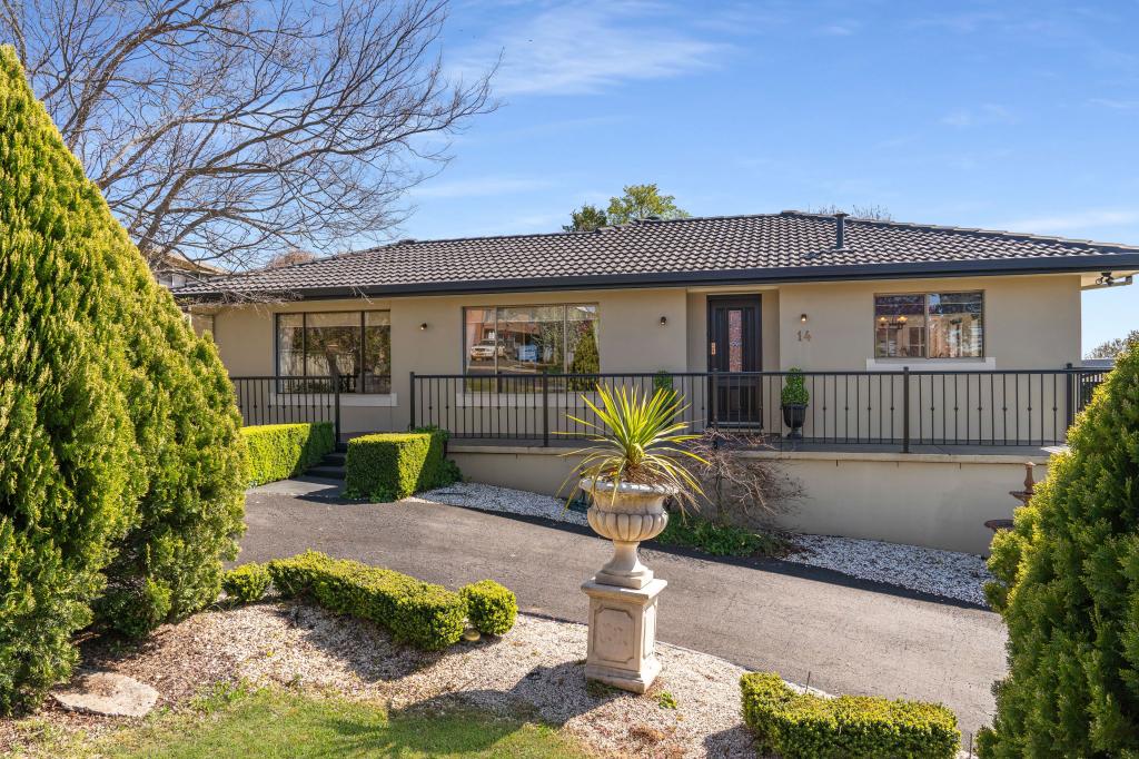 17 Reynolds St, Molong, NSW 2866