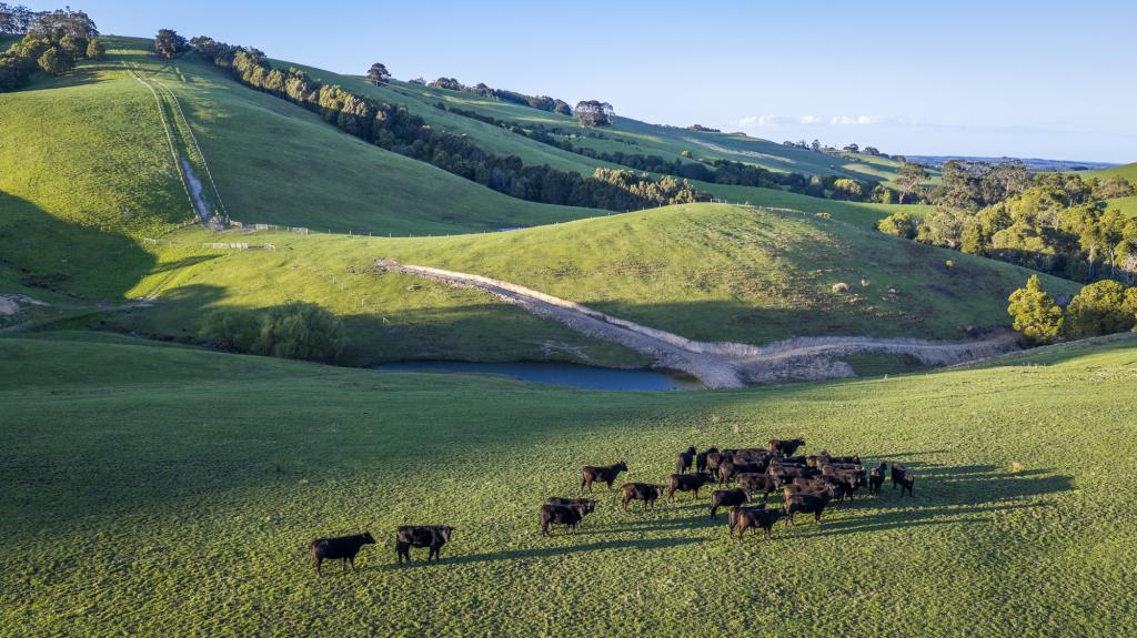 422 O'Gradys Ridge Rd, Foster North, VIC 3960