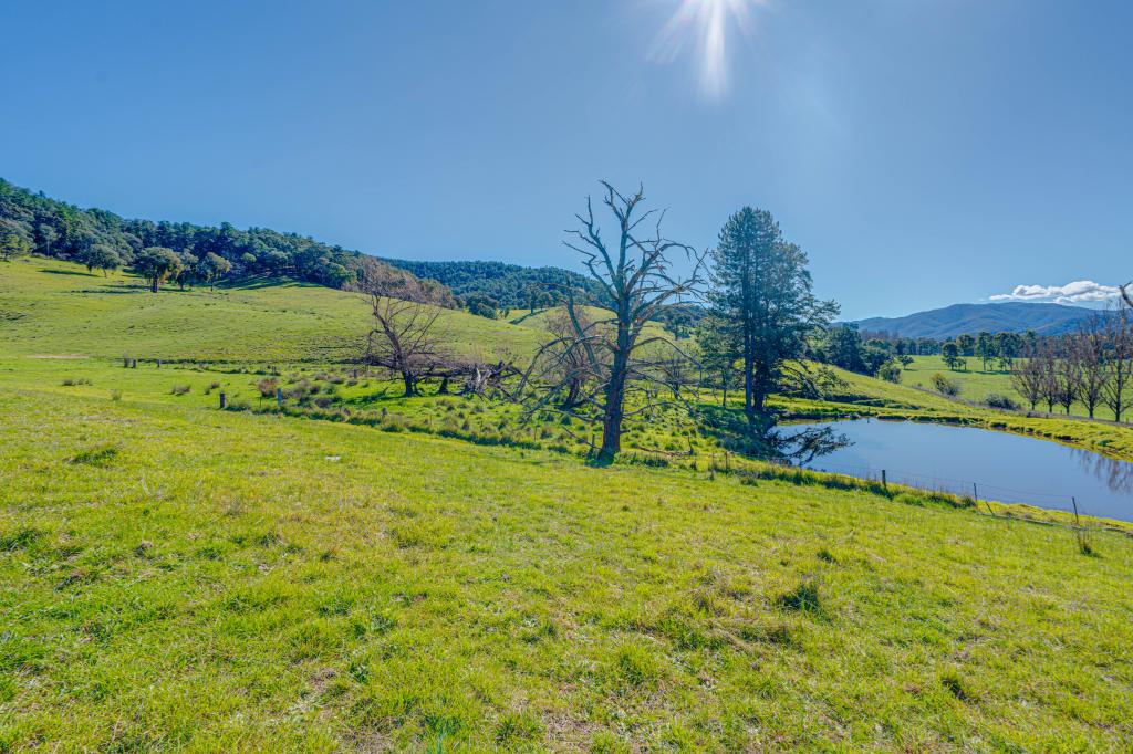 Lot 1 Merriang Homestead Rd, Merriang, VIC 3737