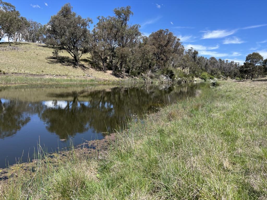 860 Bullock Mountain Rd, Yarrowford, NSW 2370