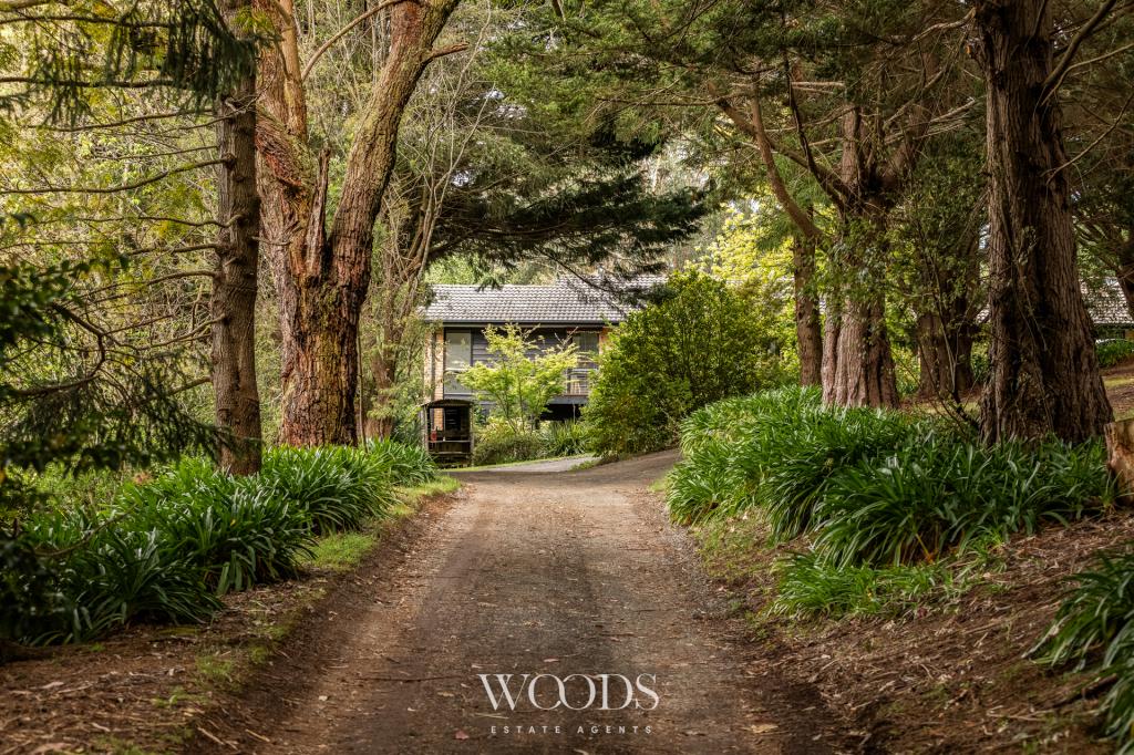 26 GEORGES RD, THE PATCH, VIC 3792