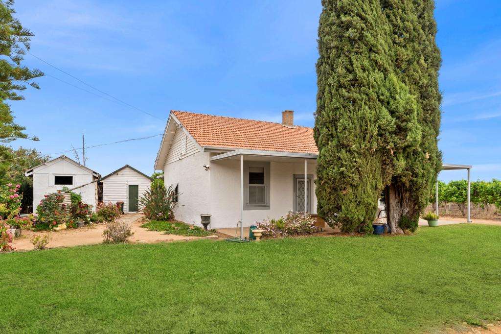 17574 STURT HWY, BARMERA, SA 5345