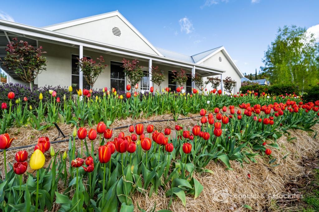 3 Smith St, Beechworth, VIC 3747