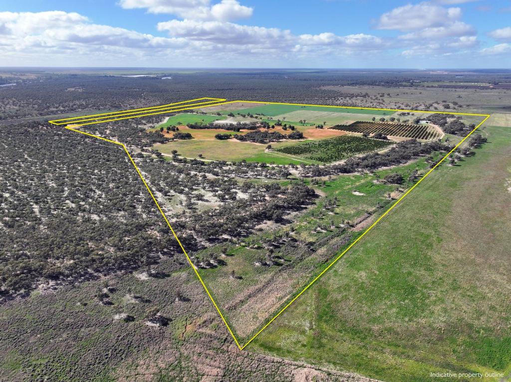 540 STEWART RD, RED CLIFFS, VIC 3496