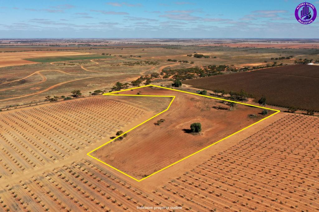 164 Thurlow Lane, Red Cliffs, VIC 3496