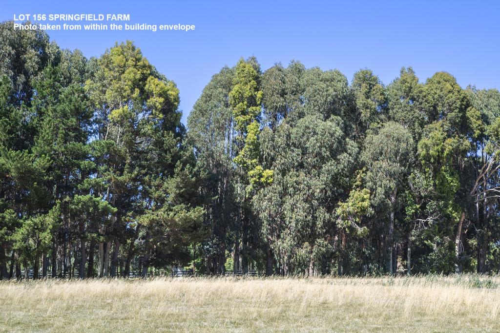 Lot 156 Springfield Farm, Yallingup, WA 6282