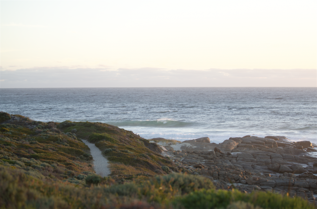 13 Senecio Way, Witchcliffe, WA 6286