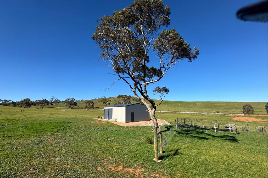Lot 235e Appila-Tarcowie Rd, Tarcowie, SA 5431