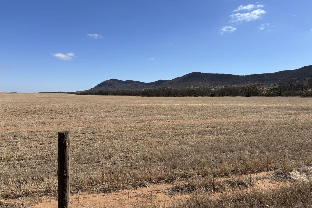 731 Hebberman Rd, Darke Peak, SA 5642