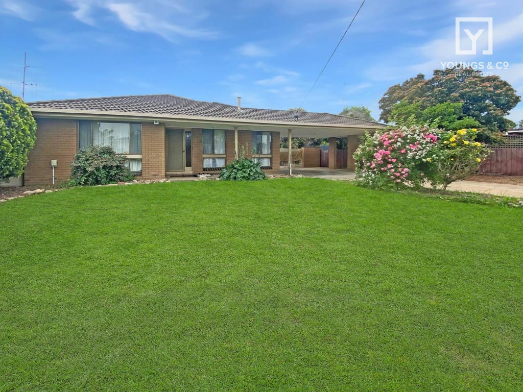 17 Sarsfield St, Shepparton, VIC 3630