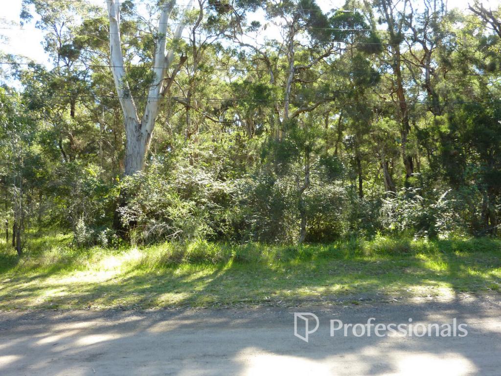 Lot 45 Ashford Rd, Vineyard, NSW 2765