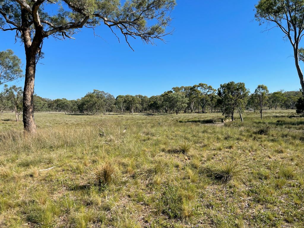 Lot 1 Stanthorpe - Inglewood Rd, Pikedale, QLD 4380