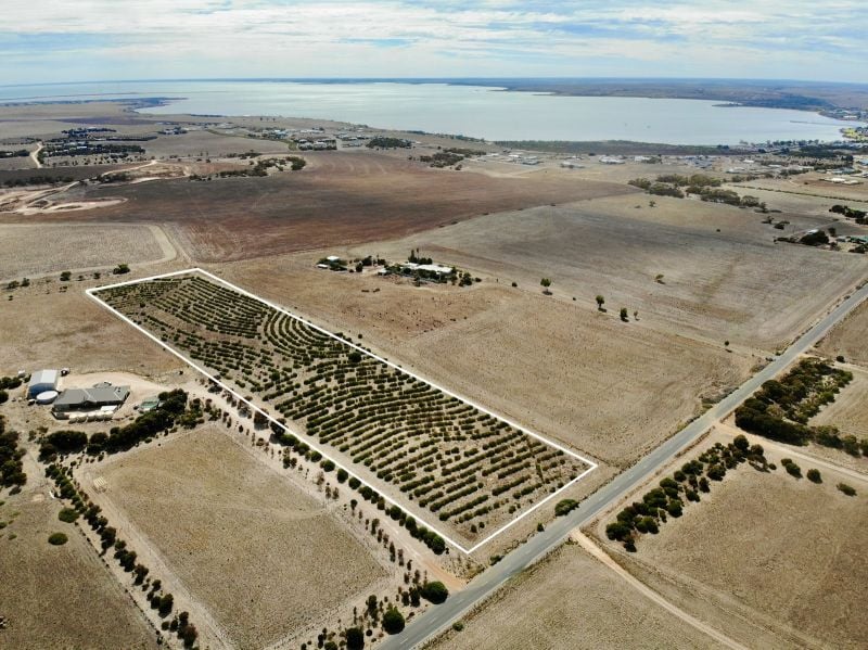 51 Woodlawn Rd, Streaky Bay, SA 5680