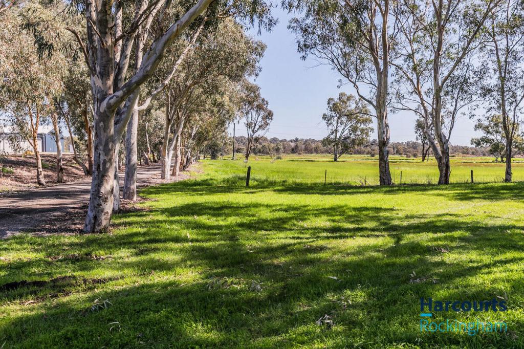 16 Young Rd, Baldivis, WA 6171