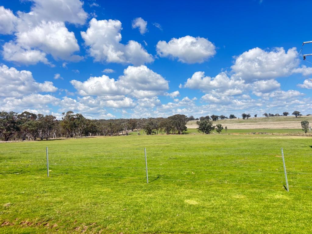 670 COYBIL RD, WEETALIBA, NSW 2395