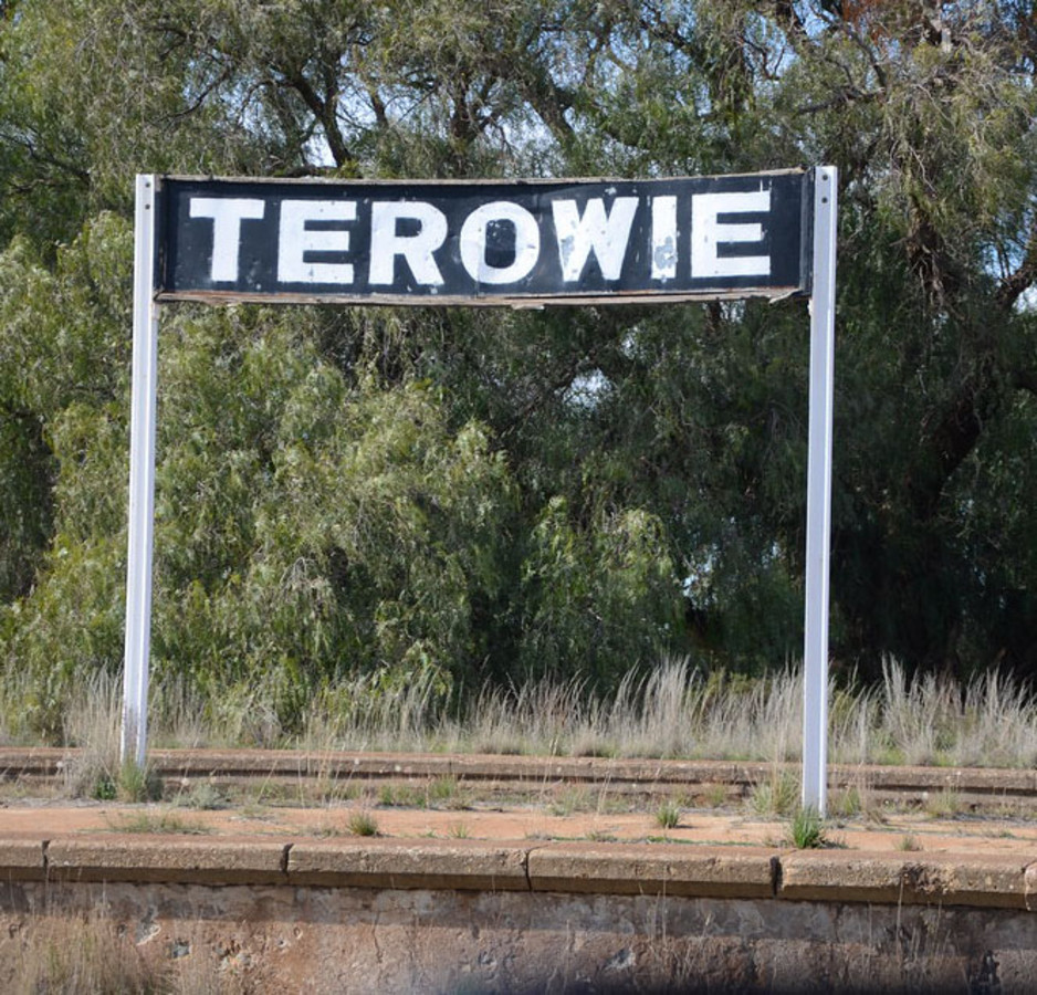 134 Mitchel St, Terowie, SA 5421